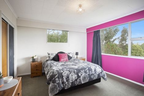 Photo of property in 465 Mill North, Roslyn Bush, Invercargill, 9876
