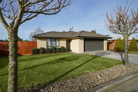 Photo of property in 156 Main Street, Oxford, 7430