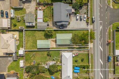 Photo of property in 19 Studholme Street, Morrinsville, 3300