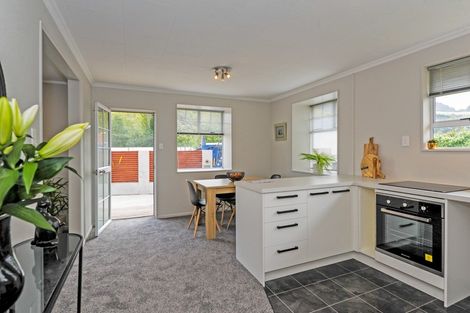 Photo of property in 19a Carlton Street, North East Valley, Dunedin, 9010