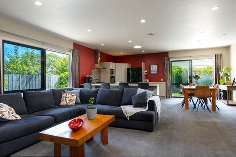 Photo of property in 41 Uxbridge Street, Renwick, 7204