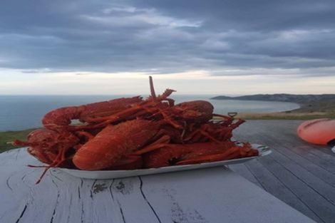 Photo of property in 919 Mangakuri Road, Elsthorpe, 4295