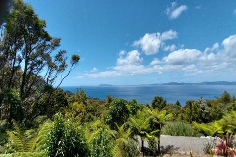 Photo of property in 525a Tuateawa Road, Tuateawa, Coromandel, 3583