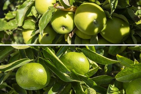 Photo of property in 2 David Street, Yelverton, Blenheim, 7201