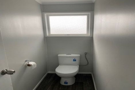 Photo of property in 49 Nelson Street, Pukekohe, 2120