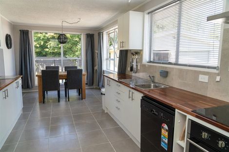 Photo of property in 25 Mitchell Place, Netherby, Ashburton, 7700