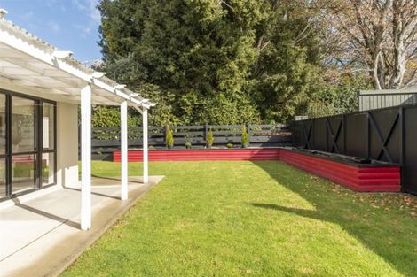 Photo of property in 31 Manuwai Drive, Matua, Tauranga, 3110