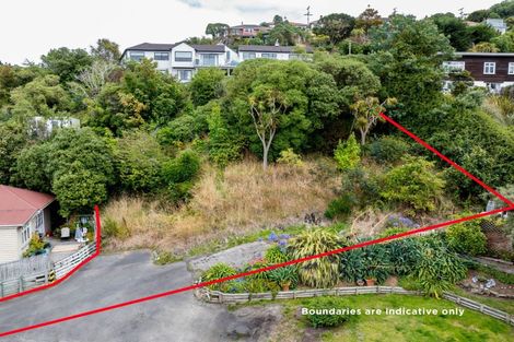 Photo of property in 108a Bedford Street, Saint Clair, Dunedin, 9012