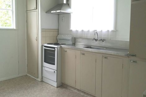 Photo of property in 69 Arawa Street, New Lynn, Auckland, 0600