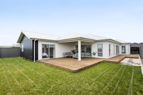 Photo of property in 54 Pelorus Avenue, Poraiti, Napier, 4112