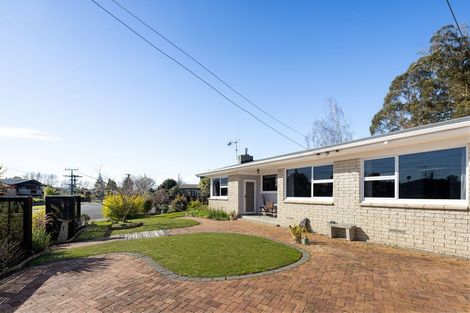 Photo of property in 21 Fitzroy Avenue, Fitzroy, Hamilton, 3206
