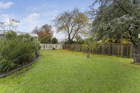 Photo of property in 57 Glasgow Terrace, Feilding, 4702