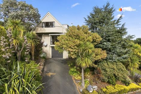 Photo of property in 50 Aytoun Street, Waverley, Dunedin, 9013