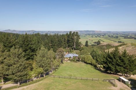 Photo of property in 37 Mckendry Road, Woodside, Outram, 9074