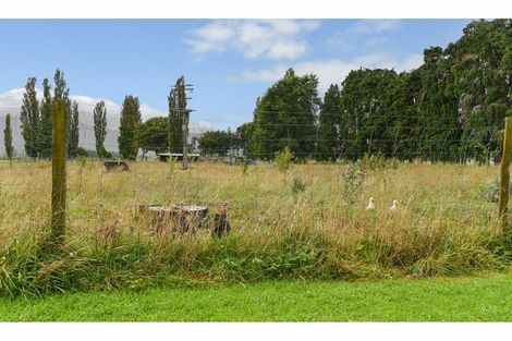 Photo of property in 5209 Galatea Road, Galatea, Murupara, 3079