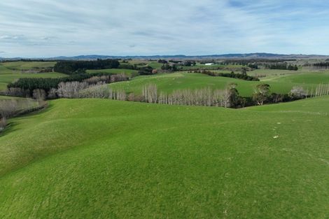 Photo of property in 41 Gray Road, Waitepeka, Balclutha, 9271