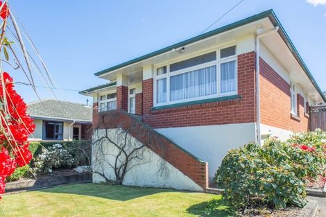 Photo of property in 213 Balmacewen Road, Wakari, Dunedin, 9010