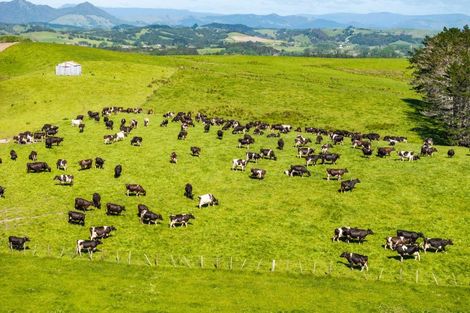 Photo of property in 61a Hilton Road, Lynmore, Rotorua, 3010