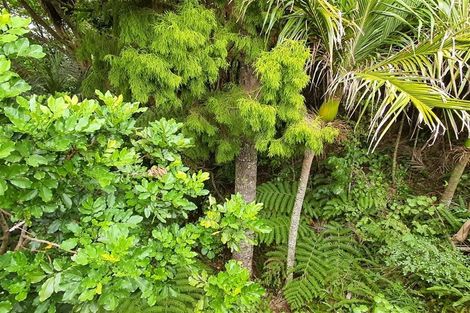 Photo of property in 98 Te Haumi Drive, Paihia, 0200