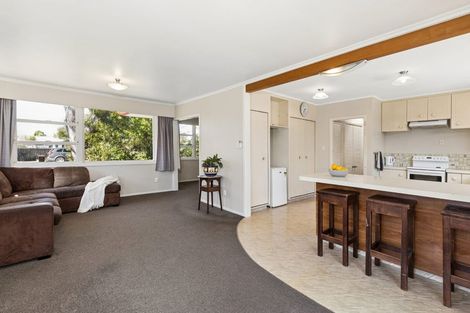 Photo of property in 26 Leefield Street, Blenheim, 7201