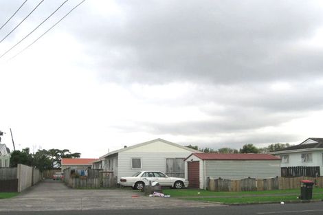 Photo of property in 25 Ferndale Road, Mount Wellington, Auckland, 1060