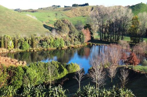 Photo of property in 135 Ballantyne Road, Poraiti, Napier, 4182