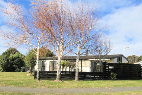 Photo of property in 309 Westminster Avenue, Tamatea, Napier, 4112