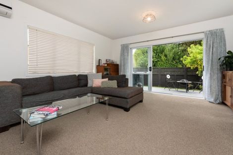 Photo of property in 41 Fourteenth Avenue, Tauranga South, Tauranga, 3112