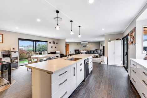 Photo of property in 43 Radiata Street, Fairview Downs, Hamilton, 3214