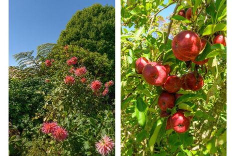 Photo of property in 3 Phillips Drive, Oropi, Tauranga, 3173