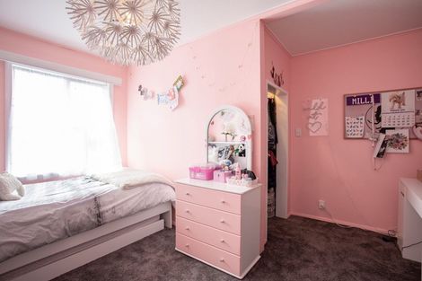 Photo of property in 25 Windsor Street, Terrace End, Palmerston North, 4410