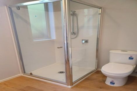 Photo of property in 97 Bordesley Street, Phillipstown, Christchurch, 8011