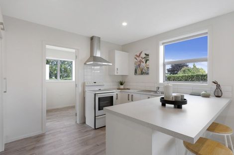 Photo of property in 225 Union Street, Milton, 9220