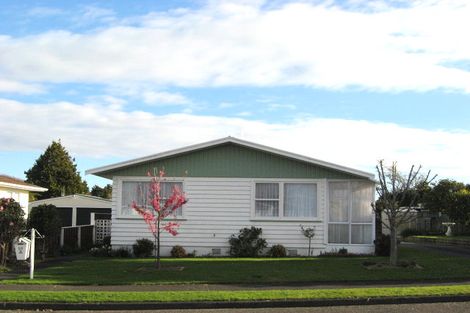 Photo of property in 20 Burn Street, Levin, 5510