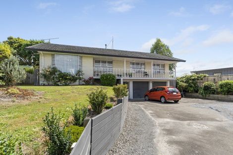 Photo of property in 45b Kirk Street, Otaki, 5512