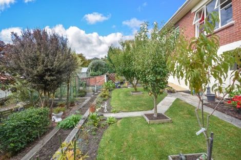 Photo of property in 49 Silverton Street, Andersons Bay, Dunedin, 9013