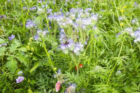 Photo of property in 81 Raukawa Street, Stokes Valley, Lower Hutt, 5019
