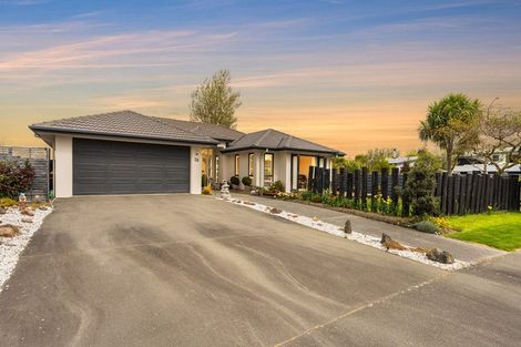 Photo of property in 20 Ludlow Drive, Huntingdon, Ashburton, 7774