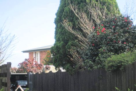 Photo of property in 5a Ascot Road, Mount Maunganui, 3116