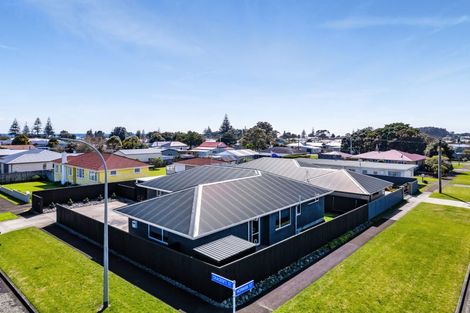 Photo of property in 110 Cracroft Street, Waitara, 4320