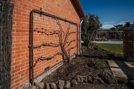 Photo of property in 6 Johnson Street, Milton, 9220