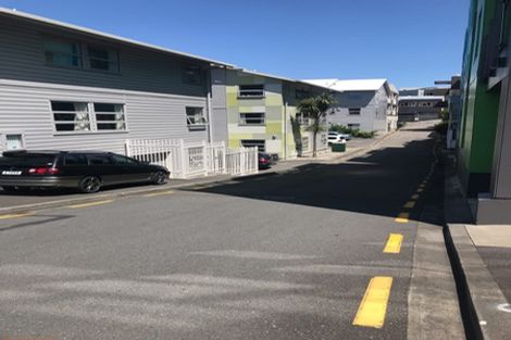 Photo of property in Drummond Street Flats, 25/19 Drummond Street, Mount Cook, Wellington, 6021