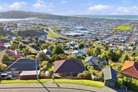 Photo of property in 125 Forfar Street, Clyde Hill, Dunedin, 9011