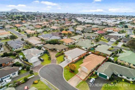 Photo of property in 10 Abelia Avenue, Mount Maunganui, 3116