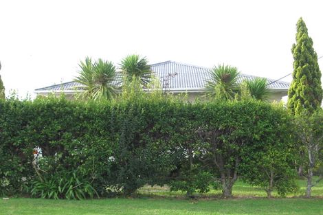 Photo of property in 38 Woodford Avenue, Henderson, Auckland, 0610