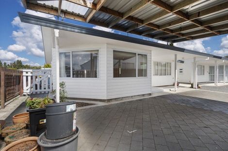 Photo of property in 20c Overdale Street, Putaruru, 3411