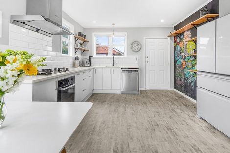 Photo of property in 49 Graham Street, Hamilton East, Hamilton, 3216