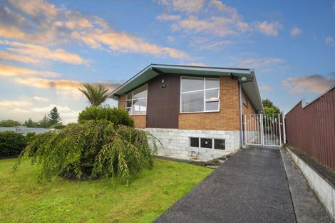 Photo of property in 239 Cambridge Street, Levin, 5510