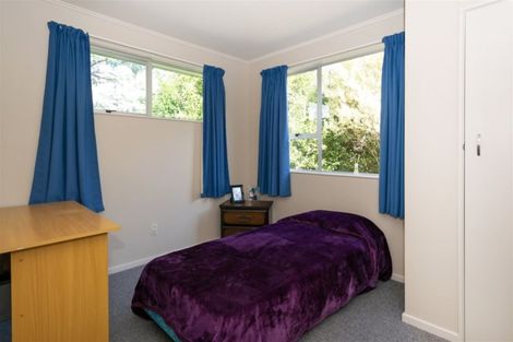 Photo of property in 16 Nicholson Street, Renwick, 7204