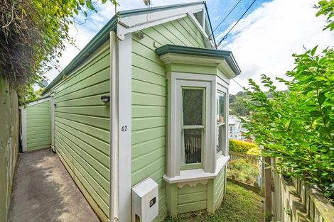 Photo of property in 42 Drummond Street, Mount Cook, Wellington, 6021
